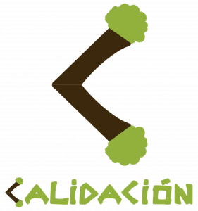 Logo Calidación